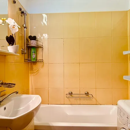 Appartement Joy Ultracentral Charming Timişoara