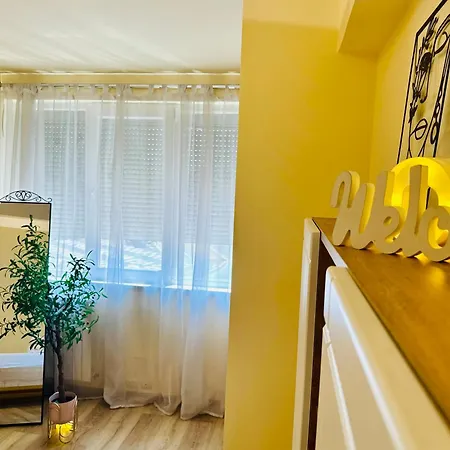 Joy Ultracentral Charming Appartement Timişoara