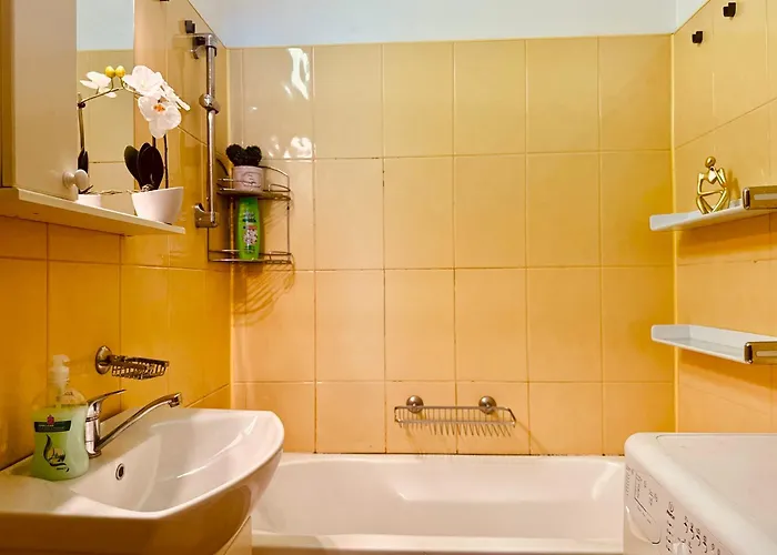 Apartment Joy Ultracentral Charming Timisoara