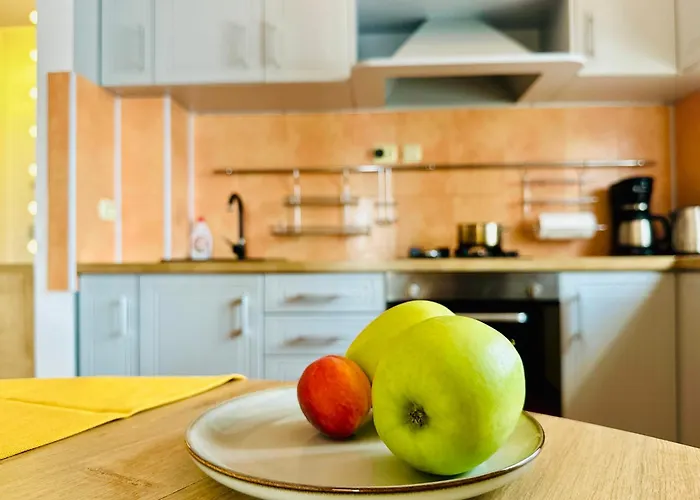 Joy Ultracentral Charming Apartment Timisoara