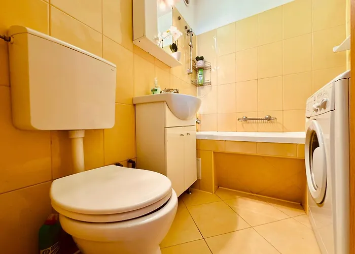 Joy Ultracentral Charming דירה טימישוארה