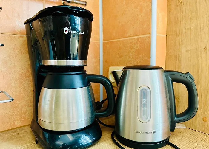 דירה Joy Ultracentral Charming טימישוארה